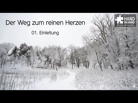 Videovorschau