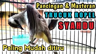 Download lagu Pancingan dan Masteran TRUCUK ROPEL SYAHDU Paling Mudah ditiru untuk Semua Jenis Trucukan mp3