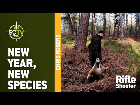 S&C TV |New year – New species | Deer management with Chris Rogers 49