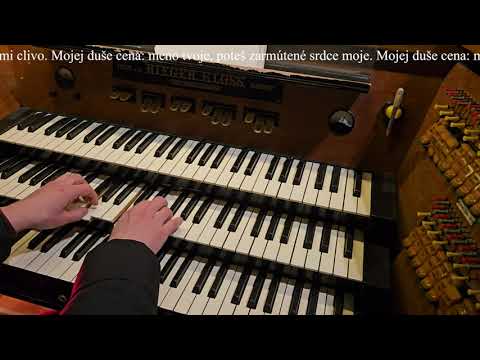 JKS 119 - Kde si, môj premilý (Dóm sv. Alžbety)