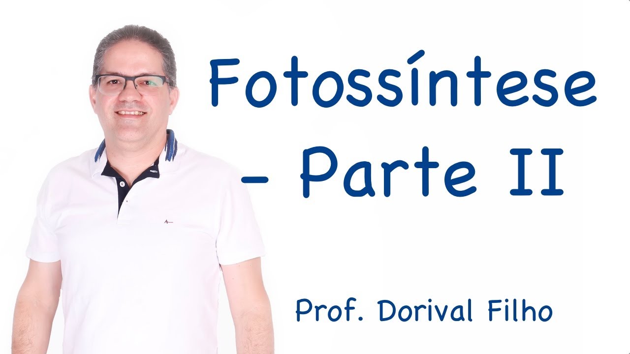 Fotossíntese - Parte II