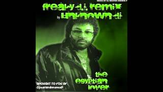 The Egyptian Lover - Freaky DJ (REMIX)