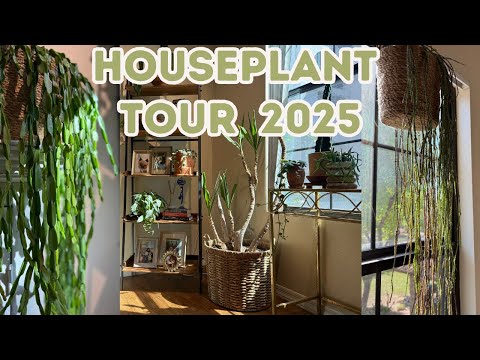 My 2025 Houseplant Tour 🌱 Rare, Wishlist and Collector Plants
