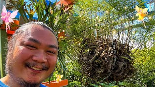 Fairy Gardens & Nursery Hopping