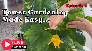 Tower Gardening Made Easy LIVE STREAM #towergarden #verticalfarming #hydroponicgardening #farm