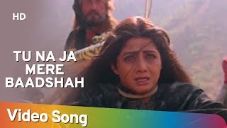Tu Na Ja Mere (Sad) (HD)  Khuda Gawah Songs  Amita