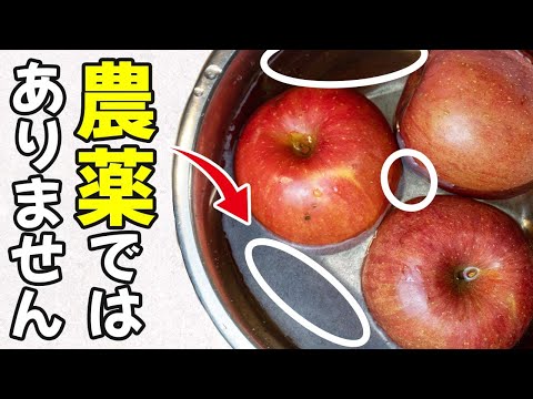 果物の正しい洗い方 ライフスタイル