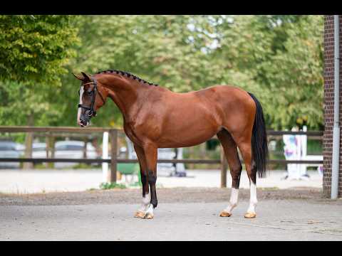 Trillium Park EN (CORNET'S PRINZ x CARAMBOLE) - Video 2 video thumbnail