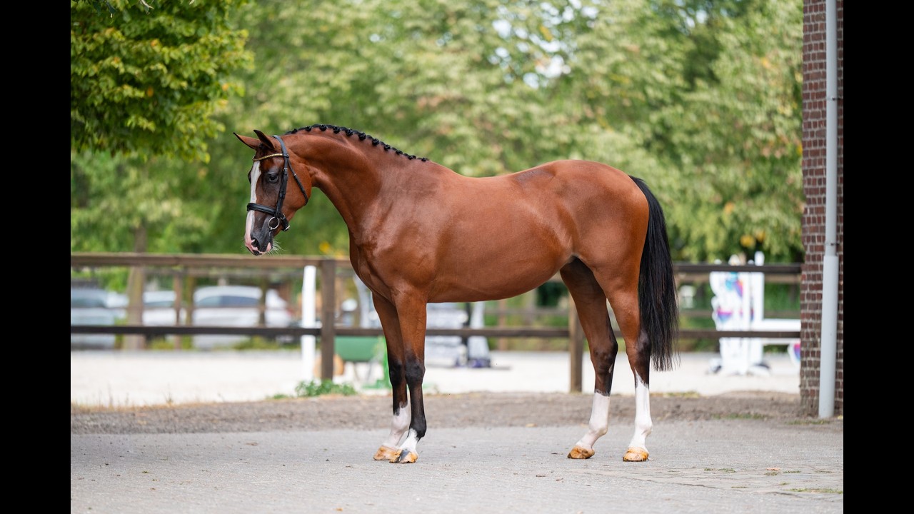 Trillium Park EN (CORNET'S PRINZ x CARAMBOLE) video 1