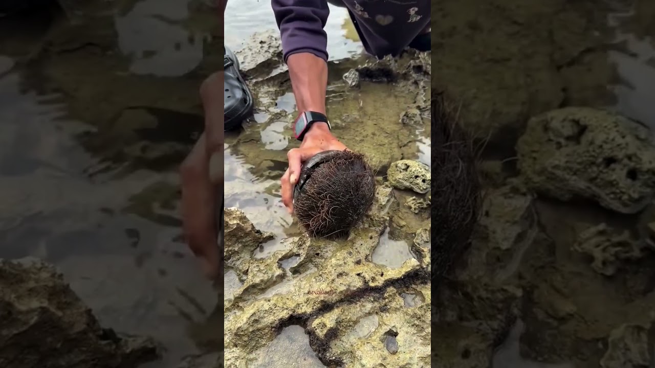 Survival Skills: SIMPLE and USEFUL #bushcraft #camping #outdoor