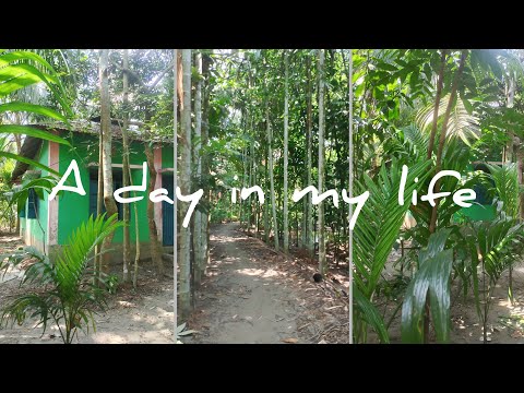 A day in my life☘️🌷