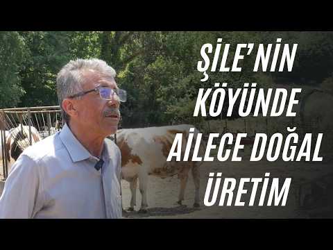 Şile’de Aile Bağlarıyla Büyüyen Güven: Yaman Kardeşler Tarım ve Hayvancılık