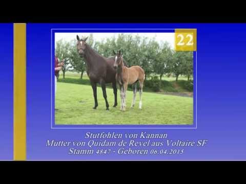 Katalog 22 - 3. Internat Fohlenauktion 2015 der Hengststation Hell und des Stalles Björn Nagel