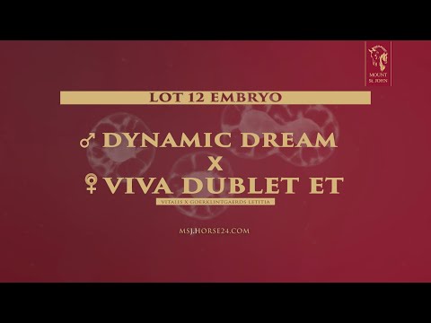 12 Viva Dublet ET Dynamic Dream