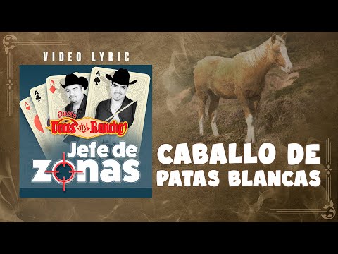 Video thumbnail for Caballo Patas Blancas