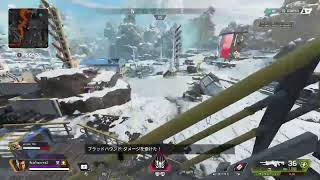 久しぶりのApexだよん