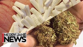 Pot Over Pills: The Effects of Cannabis vs. Prescription Drugs | MERRY JANE News