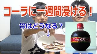 おもしろ実験 透明コーラでメントスコーラはできるのか 自由研究 解説付き تحميل اغاني مجانا おもしろ実験 透明コーラでメントスコーラはできるのか 自由研究 解説付き تحميل اغاني مجانا