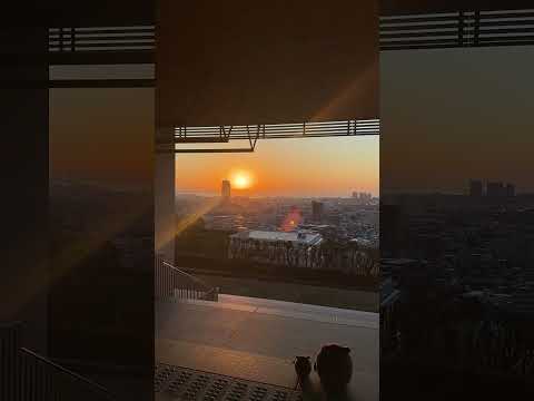 See Kobe U - あけましておめでとう / Happy New Year
