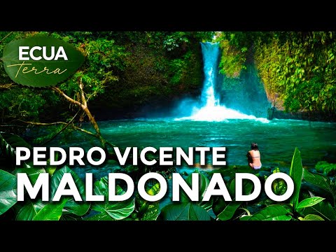 Ecuaterra🌱Pedro Vicente Maldonado: cantón de Pichincha entre montañas, bosques y llanuras | Ecuavisa
