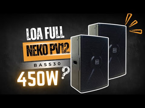 Trải nghiệm loa full 2 đường tiếng Neko PV12 công suất 450W - Âm bass chắc