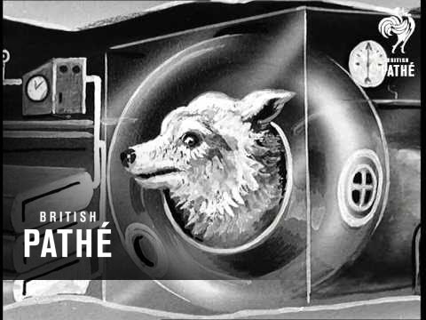 U.S.S.R. - Satellite Dog (1957)