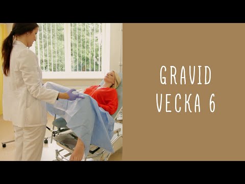 Gravid vecka 6