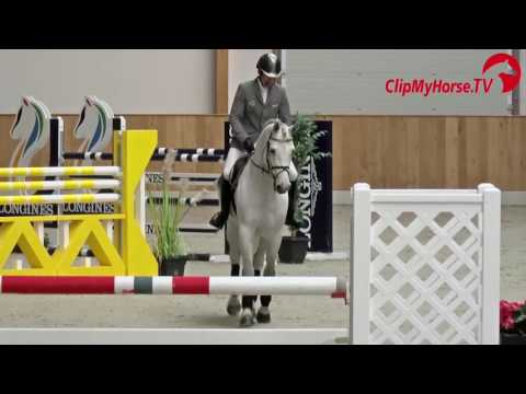 LB Convall Hengstschau 2017