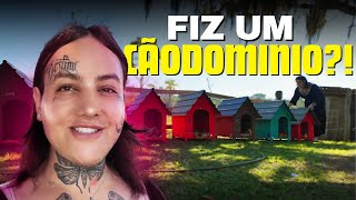 REFIZ A MINHA HORTA DA KITNET NOVAMENTE!!!