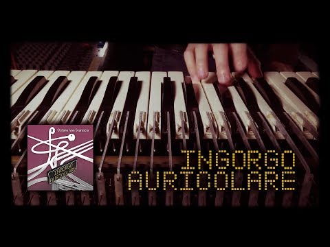 INGORGO AURICOLARE | Scarascia | trash microvideo