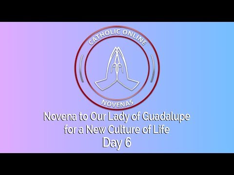 Click to Watch the Day 6 - Novena to Our Lady of Guadalupe for a New Culture of Life video