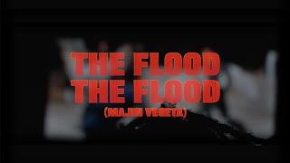 The Flood(majin Vegeta) Music Video