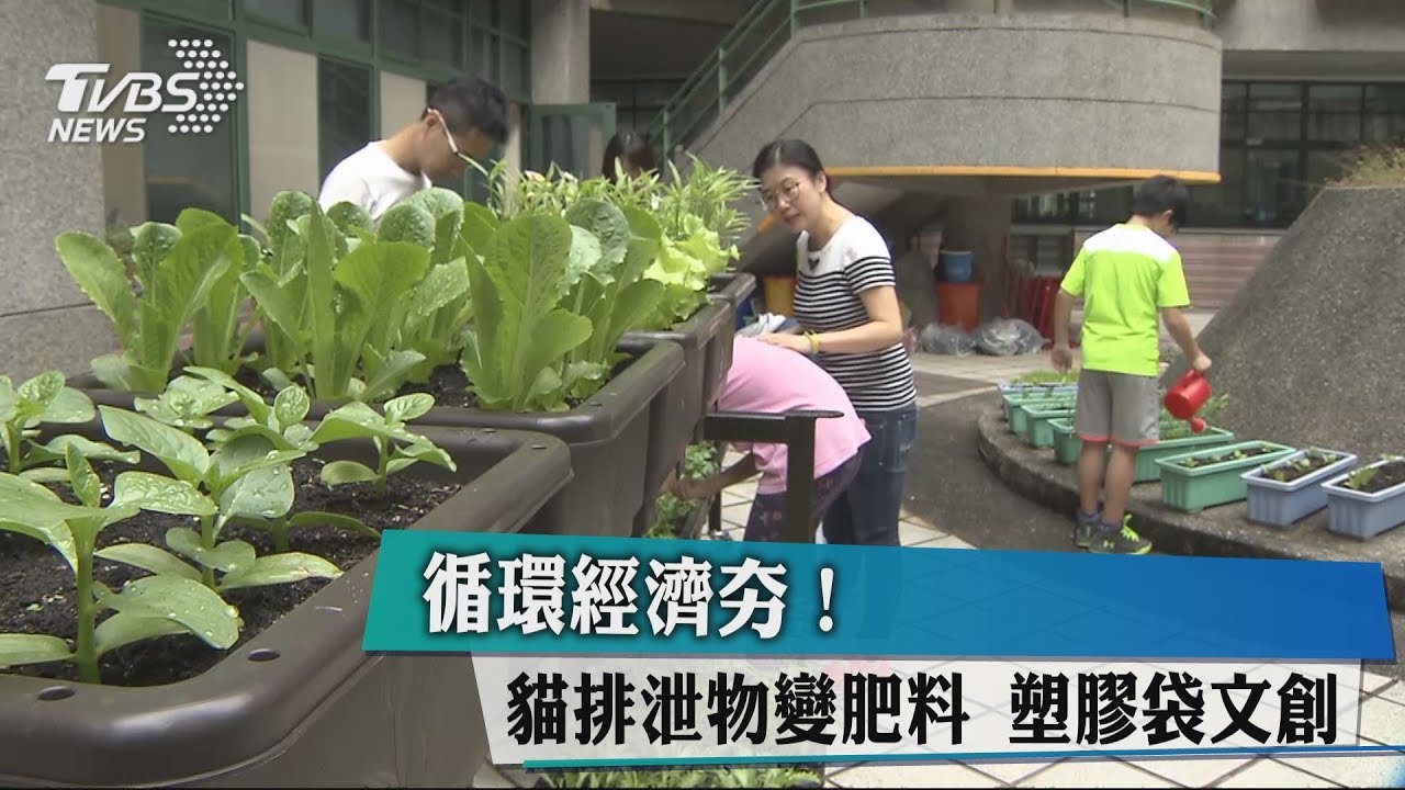 循環經濟夯!貓排泄物變肥料 塑膠袋文創