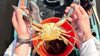 Fastest Blue Crab Limit Of My Life