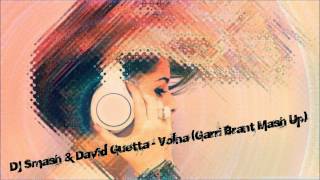 Dj Smash & David Guetta - Volna (Garri Brant Mash Up)