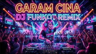 Download lagu Garam Cina DJ Funkot Remix | Lagu Viral TikTok mp3