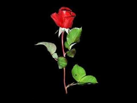 GAYE AKSU - BİLİRİM ( %100 Damarr )