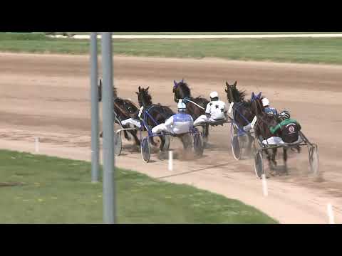 2021.06.12. 03. futam - BROWN LADY DÍJ