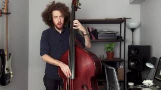 PAUL SIMON - Wristband Bass Cover and Tutorial || Carlos Henriquez || Bass Tab