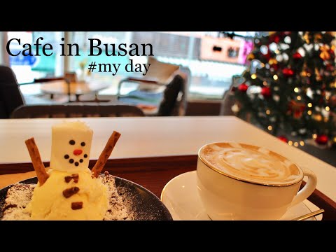 [Cafe Vlog] Introdução ao café Busan | MEU DIA