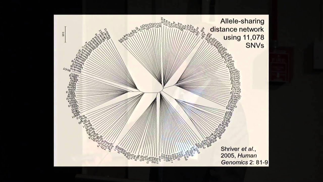 Introduction to Population Genetics - Lynn Jorde (2014)