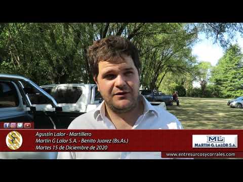 15-12-20 - Agustín Lalor - Martillero - Martín G. Lalor S.A. - Benito Juarez, Bs.As.