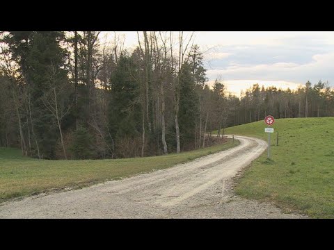 Schönholzerswilen TG: Leichenfund im Wald
