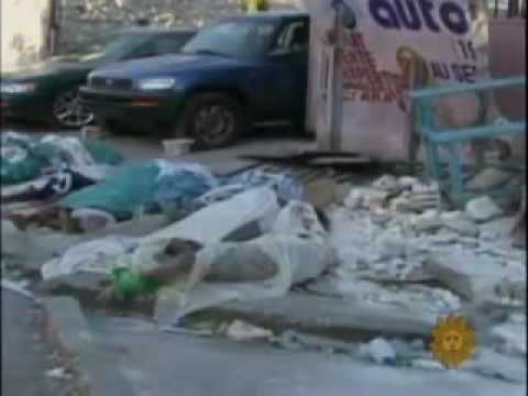 Helping Haiti - Everybody Hurts - REM Official Video Edit