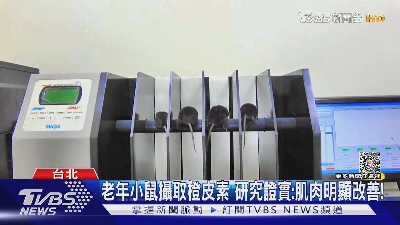 重大研究！想長壽吃這個是「關鍵」　CISD2表現高低影響人類壽命長短