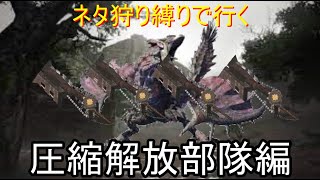 [MHRISE]圧縮解放部隊が行く主雌火竜