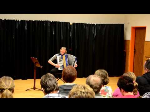 Vánoční vystoupení ZUŠ 2015 22