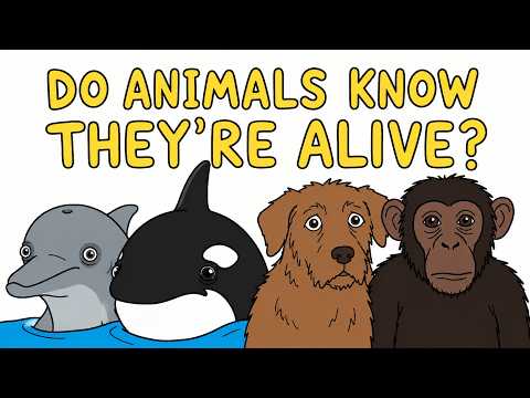 Do Animals Know They're Alive