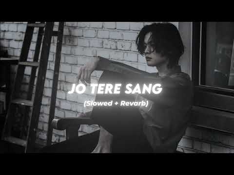 Jo Tere sang ( slowed & Reverb)