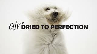 Prime100 SPD Air - Air Dried Single Protein Dog Food